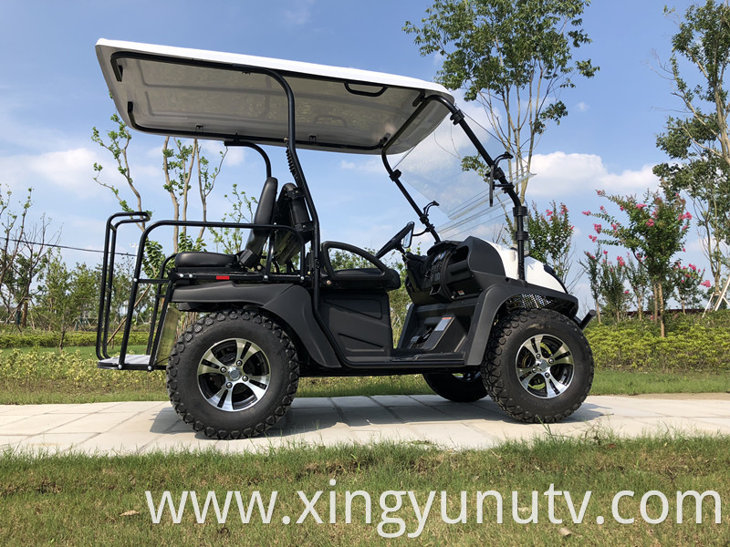 2021 Hot Sale High Quality 5KW Electric UTV with EEC